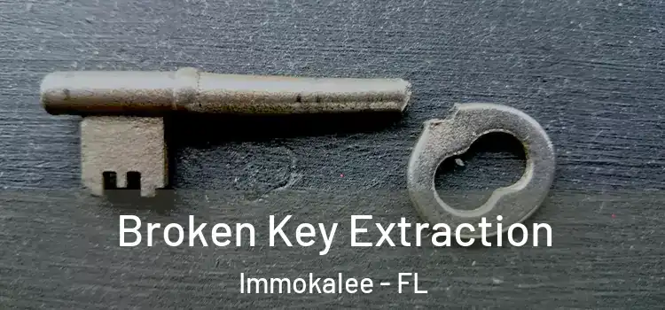 Broken Key Extraction Immokalee - FL