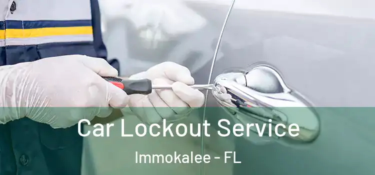  Car Lockout Service Immokalee - FL