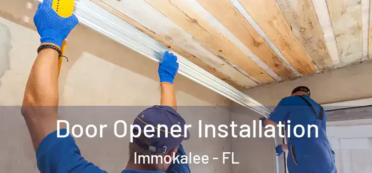 Door Opener Installation Immokalee - FL