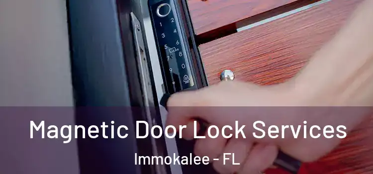 Magnetic Door Lock Services Immokalee - FL